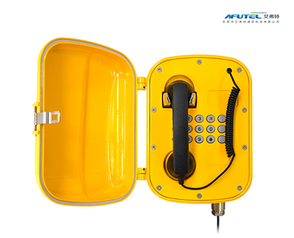 Waterproof and dustproof telephone