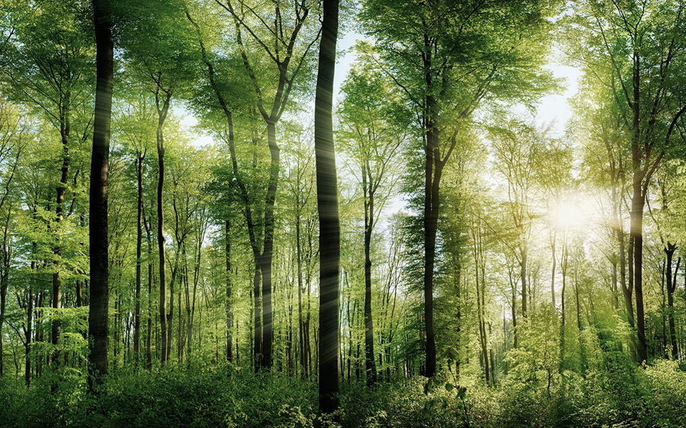 森林防火广播对讲解决方案